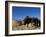 Boys Threshing with Oxen, Bamiyan, Bamiyan Province, Afghanistan-Jane Sweeney-Framed Photographic Print