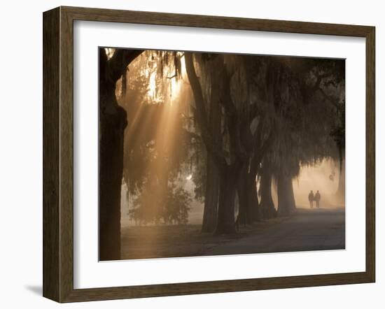 Boys Walking in Early Morning Fog at Bethesda, Savannah, Georgia, USA-Joanne Wells-Framed Photographic Print