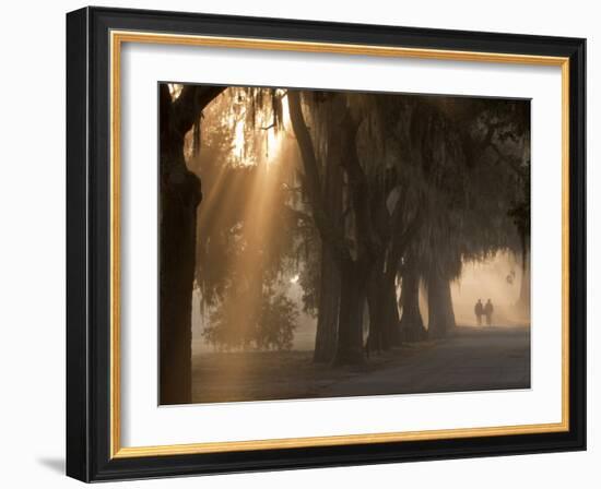 Boys Walking in Early Morning Fog at Bethesda, Savannah, Georgia, USA-Joanne Wells-Framed Photographic Print