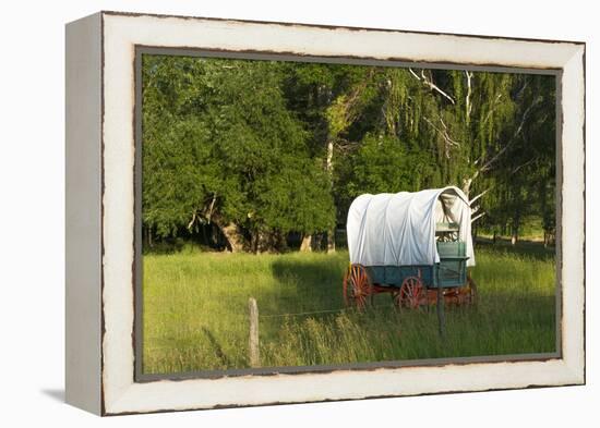 Bozeman, Montana, Sheep and Stagecoach in Beautiful Green Fields-Bill Bachmann-Framed Premier Image Canvas