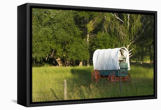 Bozeman, Montana, Sheep and Stagecoach in Beautiful Green Fields-Bill Bachmann-Framed Premier Image Canvas