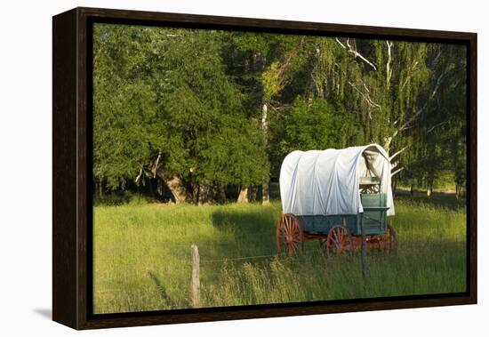 Bozeman, Montana, Sheep and Stagecoach in Beautiful Green Fields-Bill Bachmann-Framed Premier Image Canvas