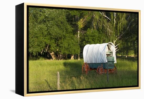 Bozeman, Montana, Sheep and Stagecoach in Beautiful Green Fields-Bill Bachmann-Framed Premier Image Canvas