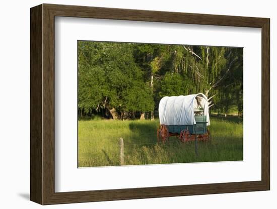 Bozeman, Montana, Sheep and Stagecoach in Beautiful Green Fields-Bill Bachmann-Framed Photographic Print