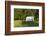 Bozeman, Montana, Sheep and Stagecoach in Beautiful Green Fields-Bill Bachmann-Framed Photographic Print