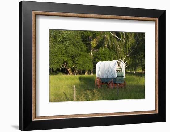 Bozeman, Montana, Sheep and Stagecoach in Beautiful Green Fields-Bill Bachmann-Framed Photographic Print