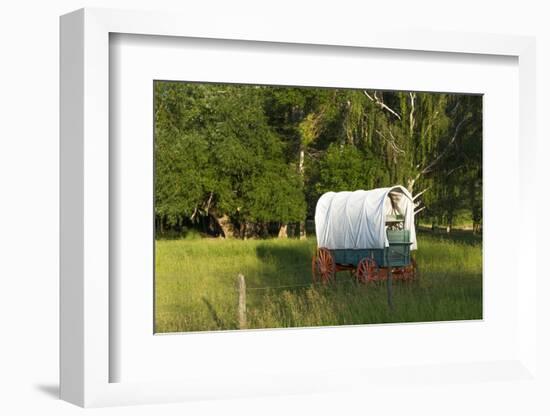 Bozeman, Montana, Sheep and Stagecoach in Beautiful Green Fields-Bill Bachmann-Framed Photographic Print