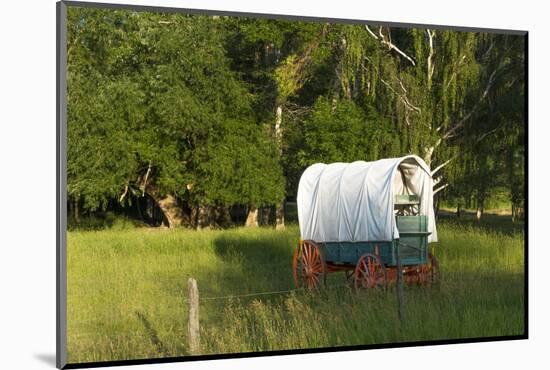 Bozeman, Montana, Sheep and Stagecoach in Beautiful Green Fields-Bill Bachmann-Mounted Photographic Print
