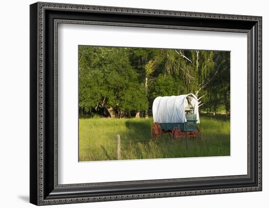 Bozeman, Montana, Sheep and Stagecoach in Beautiful Green Fields-Bill Bachmann-Framed Photographic Print