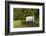 Bozeman, Montana, Sheep and Stagecoach in Beautiful Green Fields-Bill Bachmann-Framed Photographic Print