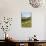 Bozeman, Montana, View of Sheep and Barn in Beautiful Green Fields-Bill Bachmann-Photographic Print displayed on a wall