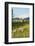 Bozeman, Montana, View of Sheep and Barn in Beautiful Green Fields-Bill Bachmann-Framed Photographic Print