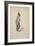 Br'er Rabbit, 1881-1928 (Pencil with W/C on Paper)-Arthur Burdett Frost-Framed Giclee Print
