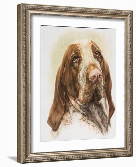 Bracco Italiano-Barbara Keith-Framed Giclee Print