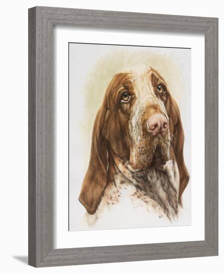 Bracco Italiano-Barbara Keith-Framed Giclee Print