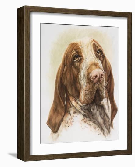 Bracco Italiano-Barbara Keith-Framed Giclee Print