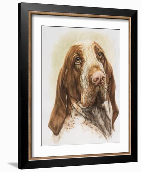 Bracco Italiano-Barbara Keith-Framed Giclee Print