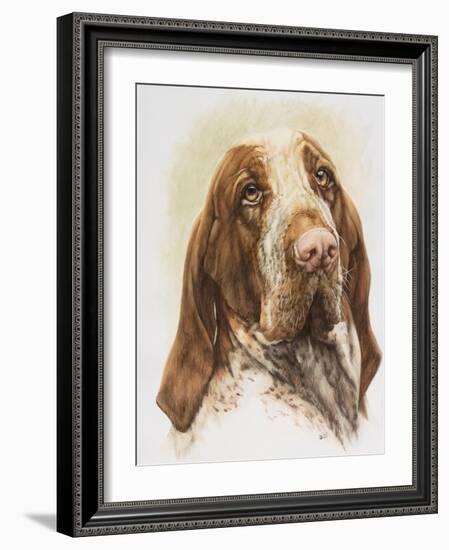 Bracco Italiano-Barbara Keith-Framed Giclee Print