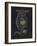 Brachionus Mulleri: Rotifer-Philip Henry Gosse-Framed Giclee Print