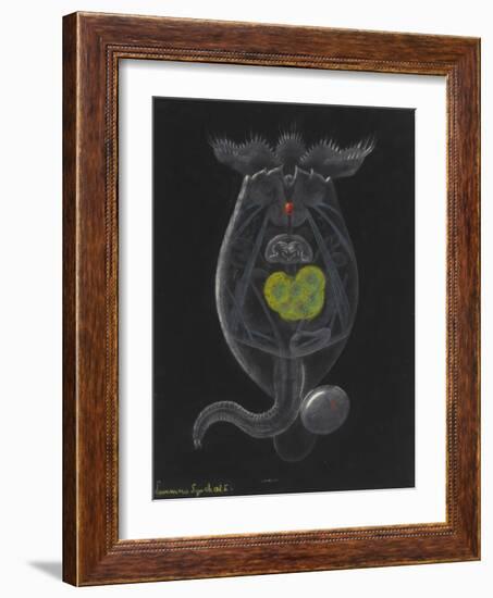 Brachionus Mulleri: Rotifer-Philip Henry Gosse-Framed Giclee Print