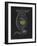 Brachionus Mulleri: Rotifer-Philip Henry Gosse-Framed Giclee Print