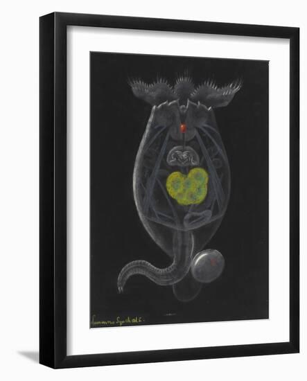 Brachionus Mulleri: Rotifer-Philip Henry Gosse-Framed Giclee Print