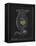 Brachionus Mulleri: Rotifer-Philip Henry Gosse-Framed Premier Image Canvas