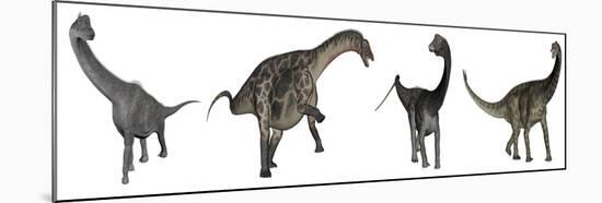 Brachiosaurus, Dicraeosaurus, Diplodocus and Spinophorosaurus-Stocktrek Images-Mounted Art Print