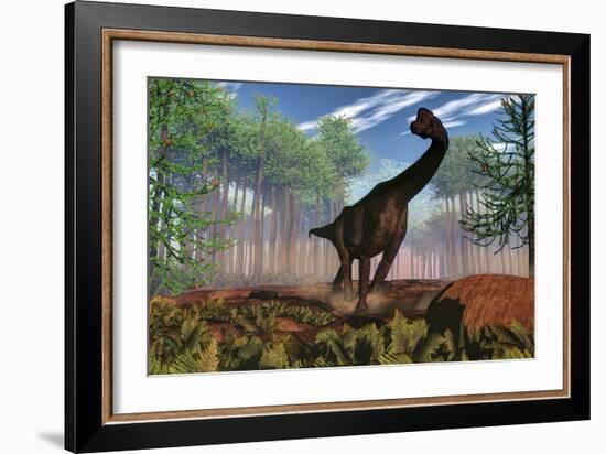 Brachiosaurus Dinosaur Amongst an Araucaria Forest-Stocktrek Images-Framed Art Print