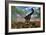 Brachiosaurus Dinosaur Amongst an Araucaria Forest-Stocktrek Images-Framed Art Print