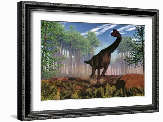 Brachiosaurus Dinosaur Amongst an Araucaria Forest-Stocktrek Images-Framed Art Print