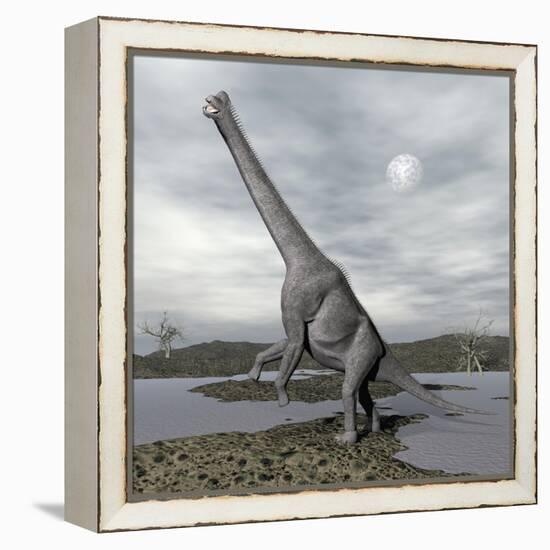 Brachiosaurus Dinosaur Backdropped by a Full Moon-null-Framed Stretched Canvas