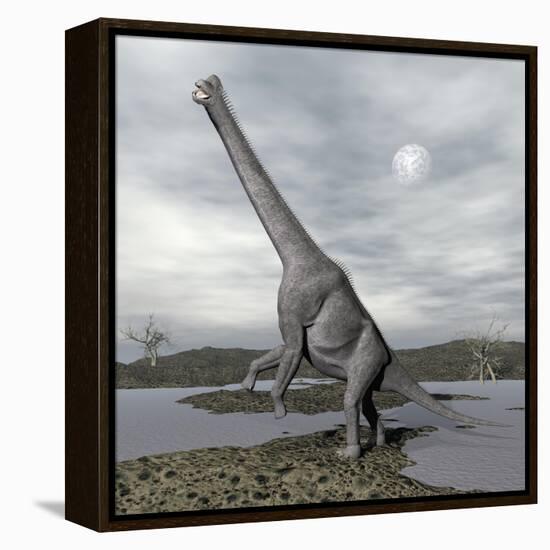 Brachiosaurus Dinosaur Backdropped by a Full Moon-null-Framed Stretched Canvas