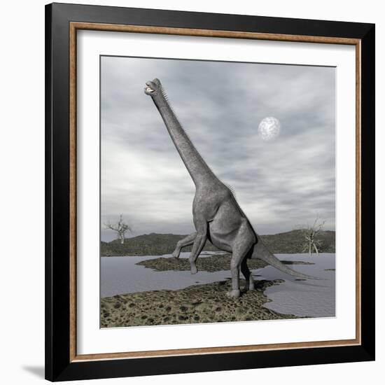 Brachiosaurus Dinosaur Backdropped by a Full Moon-null-Framed Art Print