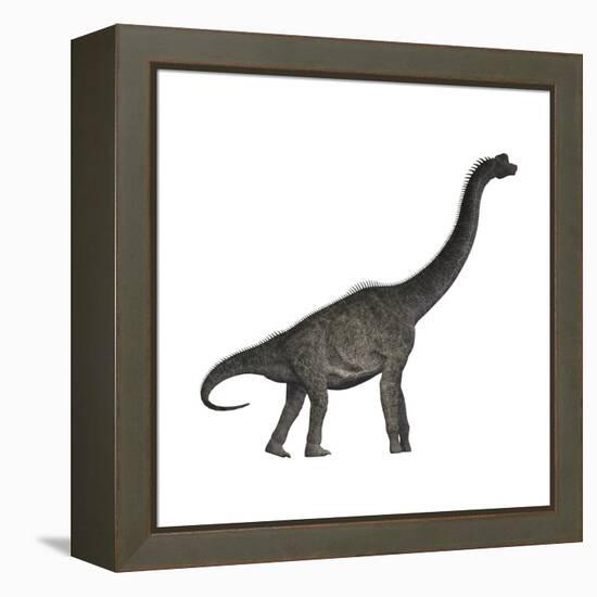 Brachiosaurus Dinosaur-Stocktrek Images-Framed Stretched Canvas