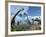 Brachiosaurus Dinosaurs, Artwork-Roger Harris-Framed Photographic Print