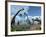 Brachiosaurus Dinosaurs, Artwork-Roger Harris-Framed Photographic Print