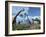 Brachiosaurus Dinosaurs, Artwork-Roger Harris-Framed Photographic Print