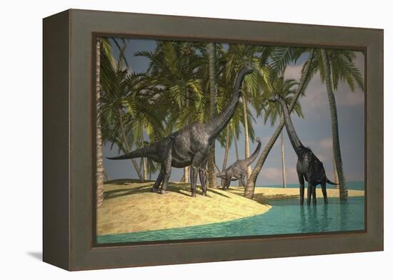 Brachiosaurus Dinosaurs Grazing at the Water's Edge-null-Framed Stretched Canvas