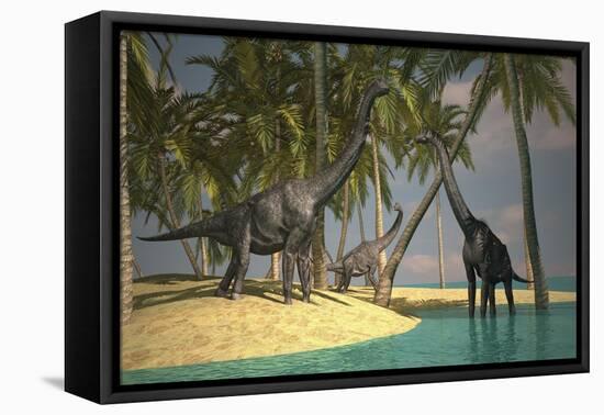 Brachiosaurus Dinosaurs Grazing at the Water's Edge-null-Framed Stretched Canvas