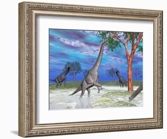 Brachiosaurus Dinosaurs Grazing on Trees-null-Framed Premium Giclee Print