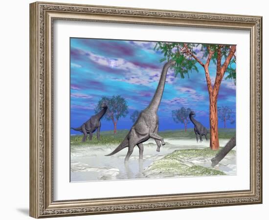 Brachiosaurus Dinosaurs Grazing on Trees-null-Framed Art Print