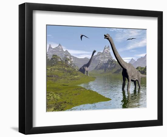 Art Print, , large
