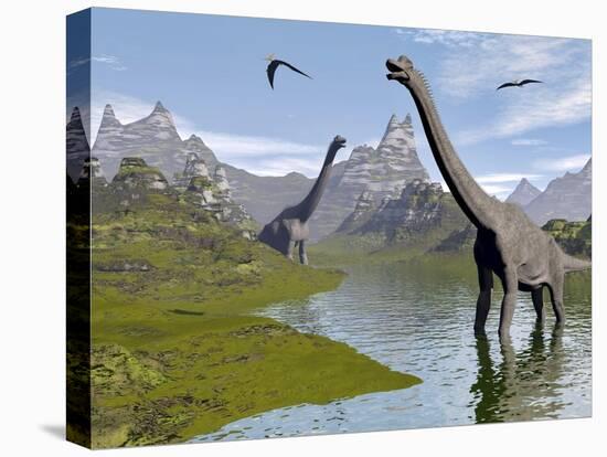 Stretched Canvas Print, , large