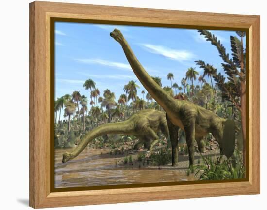 Brachiosaurus Dinosaurs-Roger Harris-Framed Premier Image Canvas