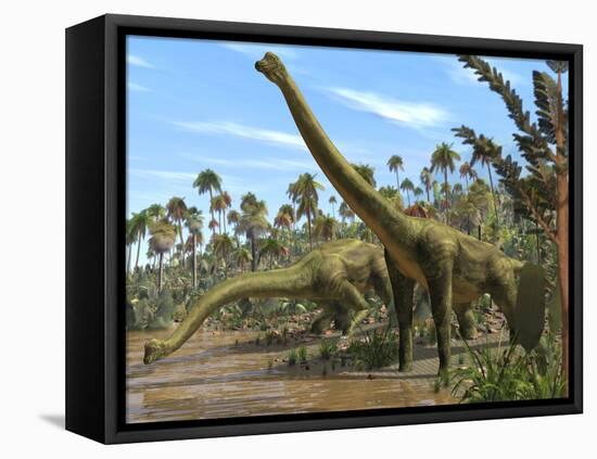 Brachiosaurus Dinosaurs-Roger Harris-Framed Premier Image Canvas