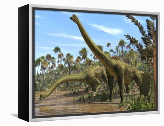 Brachiosaurus Dinosaurs-Roger Harris-Framed Premier Image Canvas