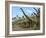 Brachiosaurus Dinosaurs-Roger Harris-Framed Photographic Print