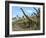 Brachiosaurus Dinosaurs-Roger Harris-Framed Photographic Print