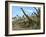 Brachiosaurus Dinosaurs-Roger Harris-Framed Photographic Print